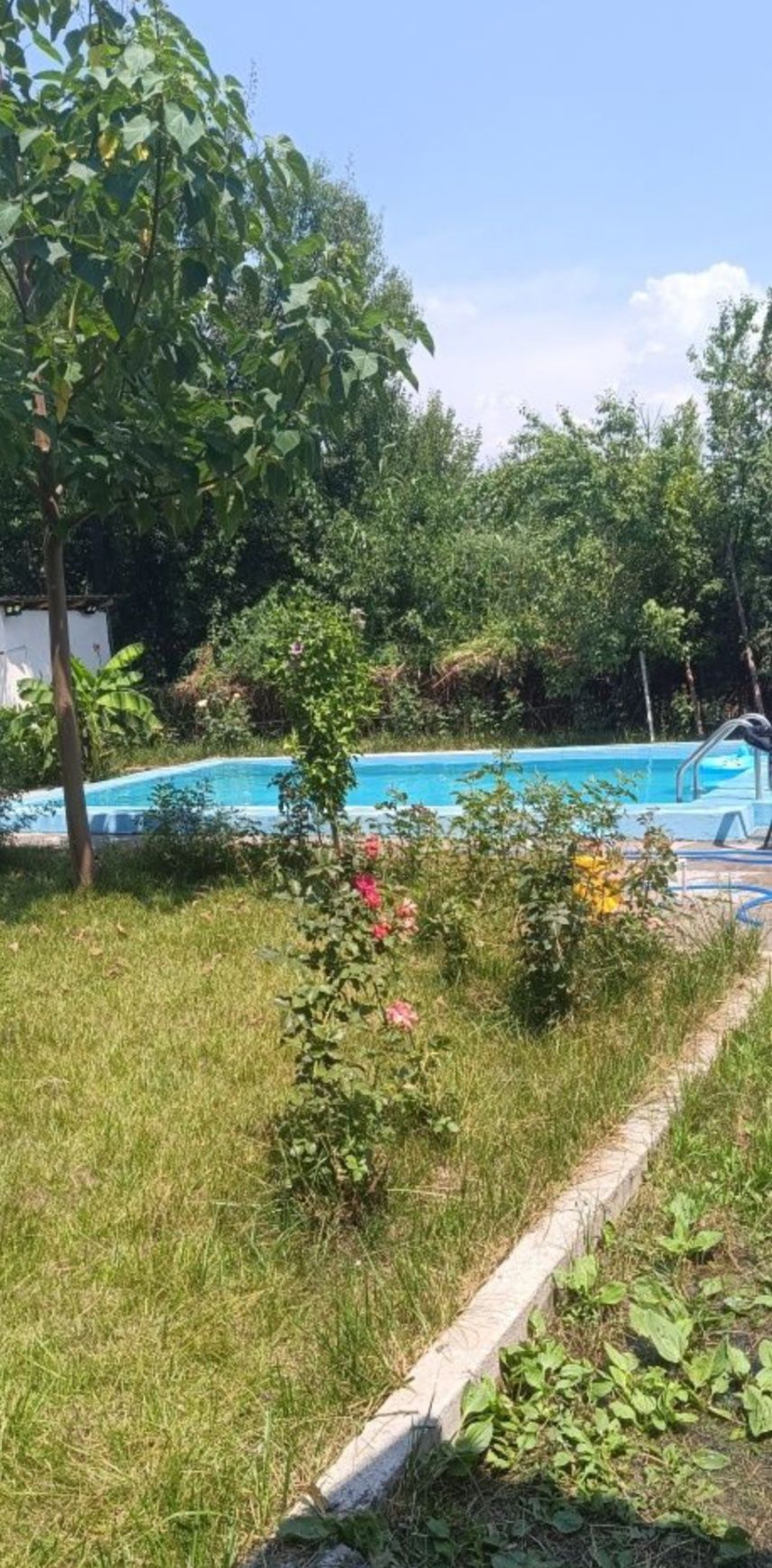 Аренда Дачи на Ташморе Только Семейным со всеми удобствами