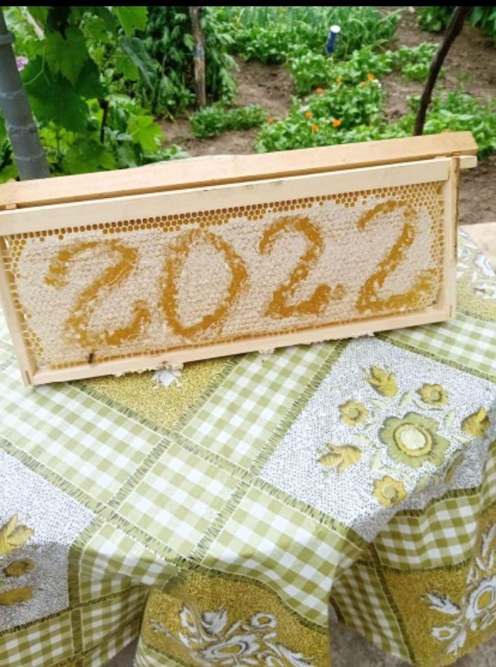 Пчелен мед собствено производство