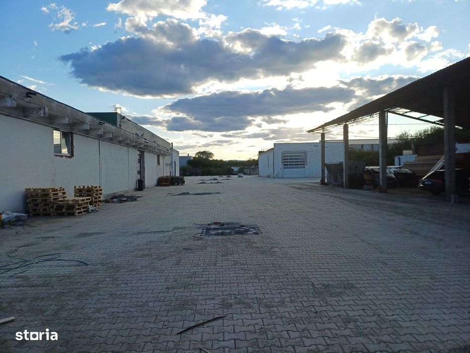 Imobiliare Maxim - hale de inchiriat