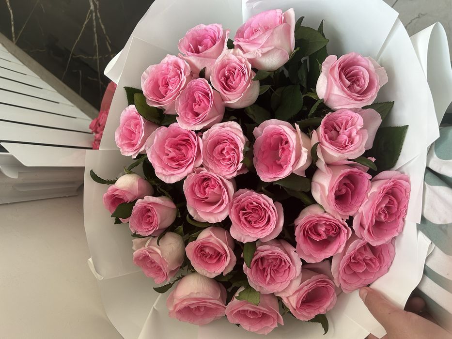 Роза 25 шт цветы