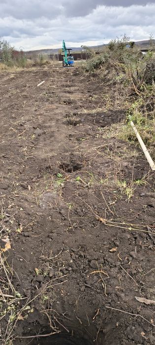 Defrișări -curatari -igienizari-imprejmuiri terenuri