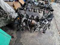 Motor Nissan X-Trail 2.2DCI YD22