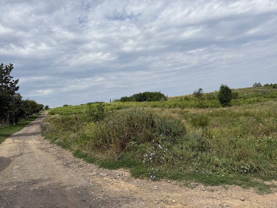 Teren intravilan Goruni 3000 MP toate utilitatile