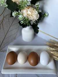 Свежие домашние куриные яйца Ломан браун