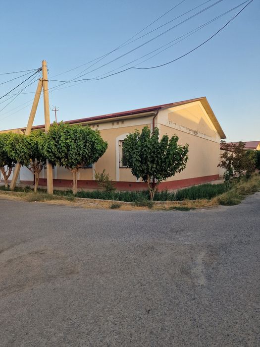 Термез туман кахрамон мфй И Каримов куча