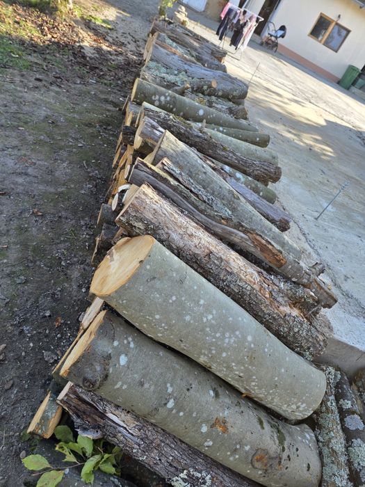 Lemn foc esenta tare la metru sau taiate si crapate