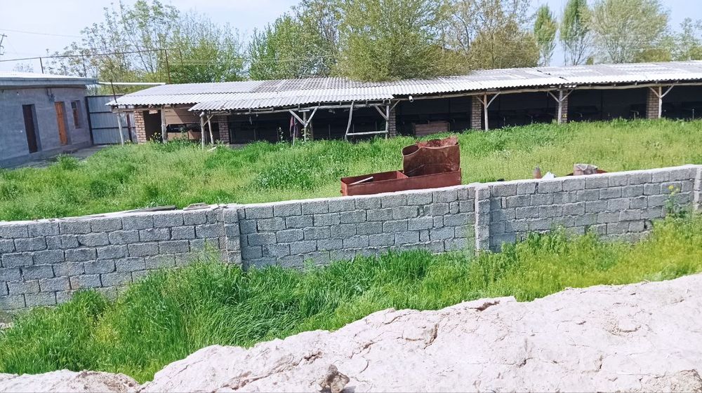 Yangiyulda hovli sotiladi