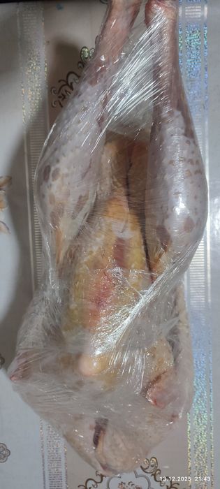 В продаже мясо индейки и живые индюки