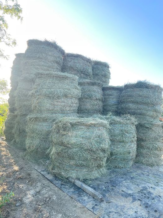 Vând baloți dreptunghiulari si rotunzi