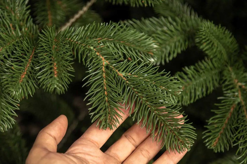 Brad Artificial Mix 3D+2D LUX 180 cm