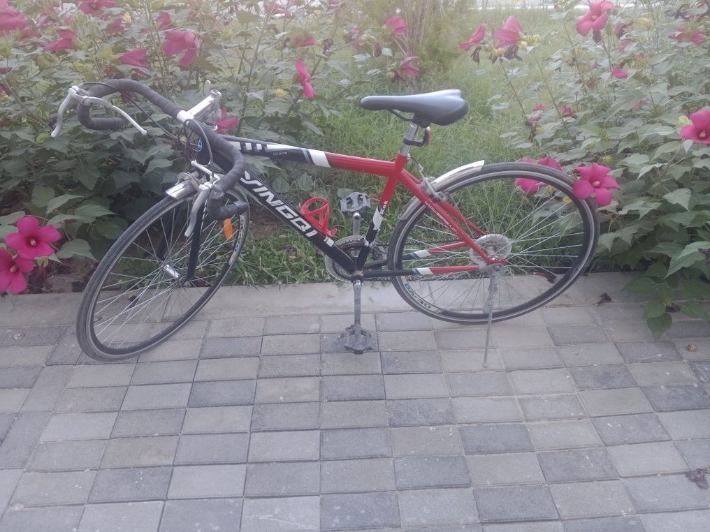 Velo sport judayam yaxshi xolatda bu narxga topish qiyin