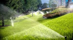 Озеленение участка