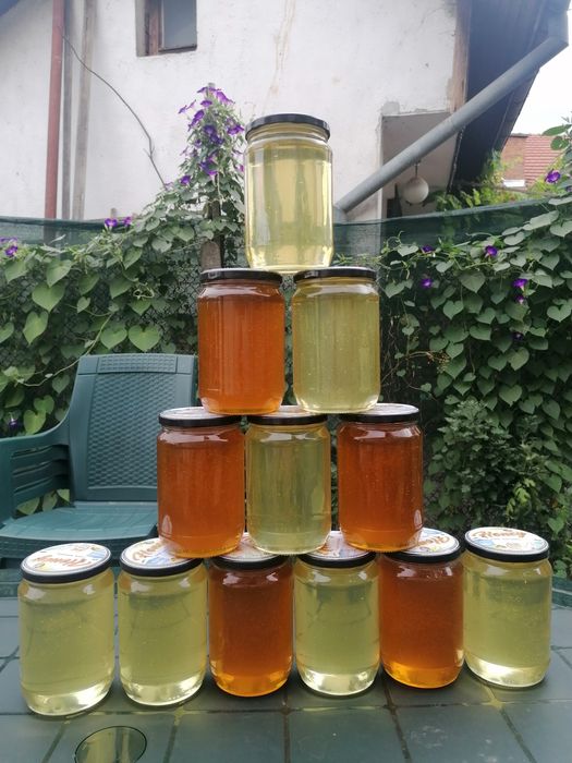 Пчелен мед от акация и билков