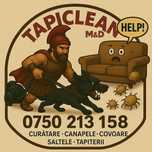 Servicii curatenie canapele, saltele, covoare, tapiterii