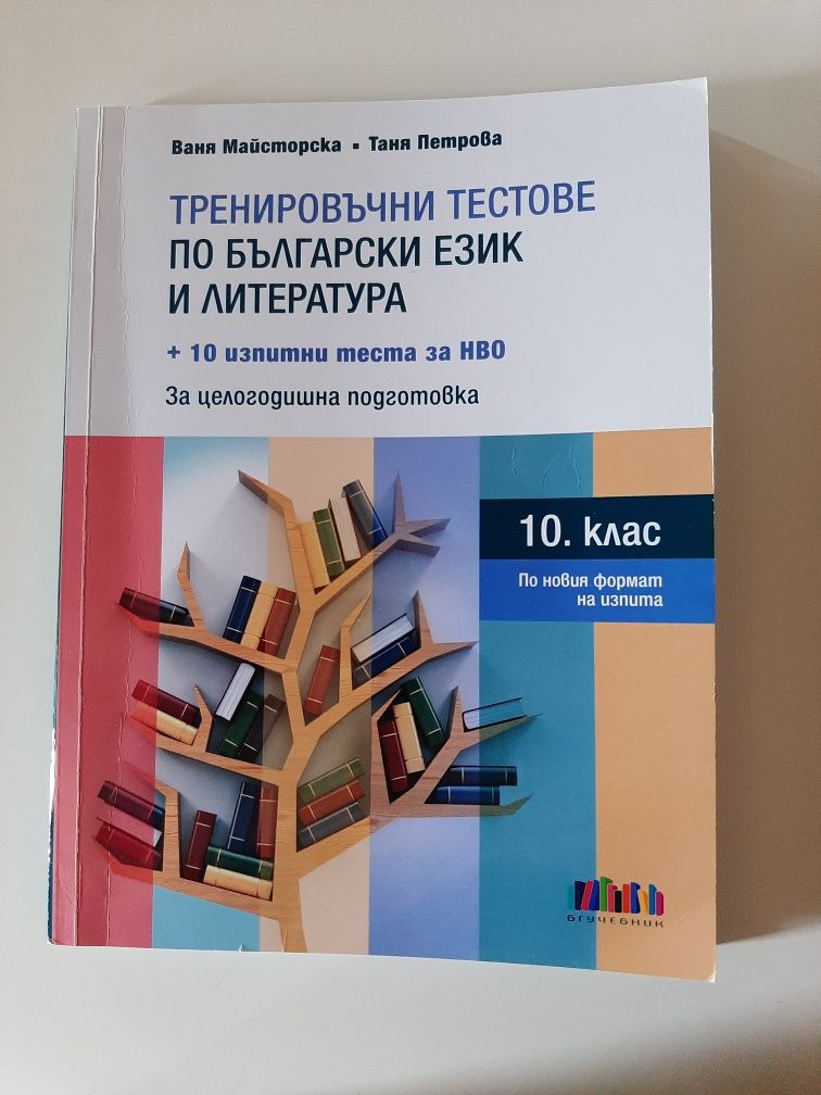 Помагала за подготовка за НВО 10 клас