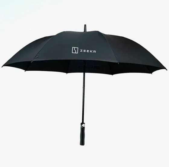 Зонт, зонтик для машины Zeekr