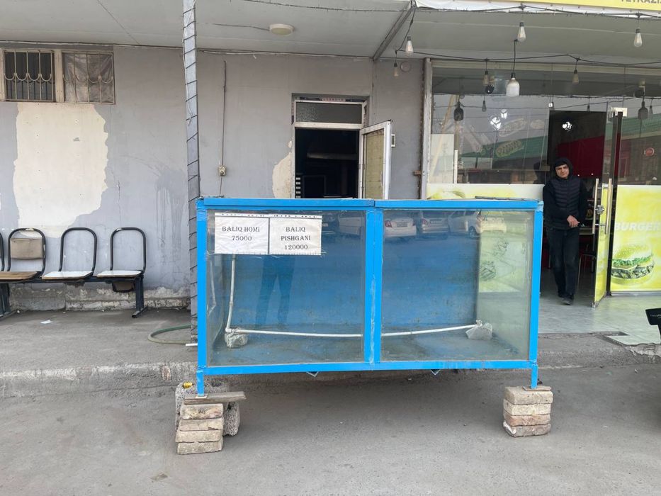 Sotilafi akvarium baliq biznes uchun