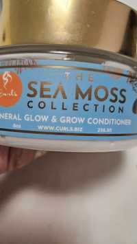 Маска за коса и скалп със 92 минерала и витамини със морски мъх