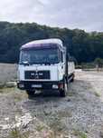 Schimb camion Man cu macara cu autoutilitară până în 3.5 t sau buldo