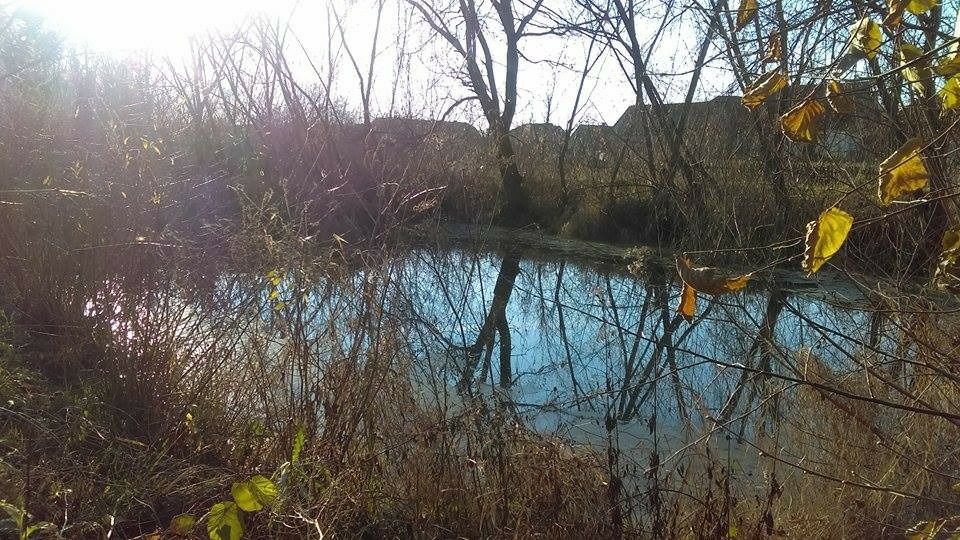 Pescarie de vanzare in barsa județul arad