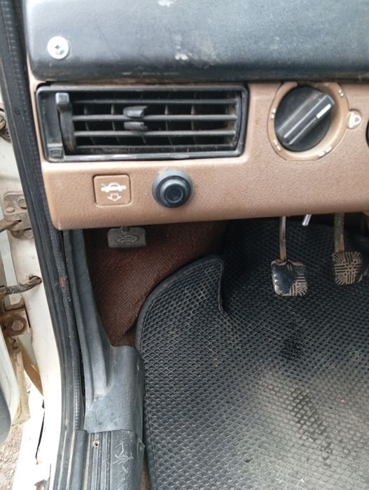 Продам живую девядку.