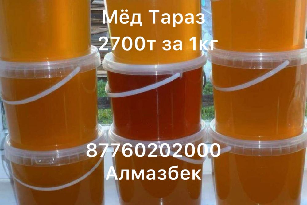 Мёд от Алмазбека с выше 9шт 2500