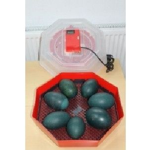 Румънски инкубатори(с ръчно завъртане на яйцата)