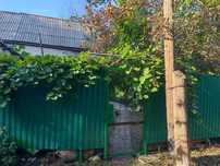 Дача 10 соток Казинское общество