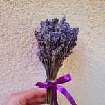 Marturii de nunta botez
