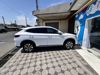 BYD chempion 520