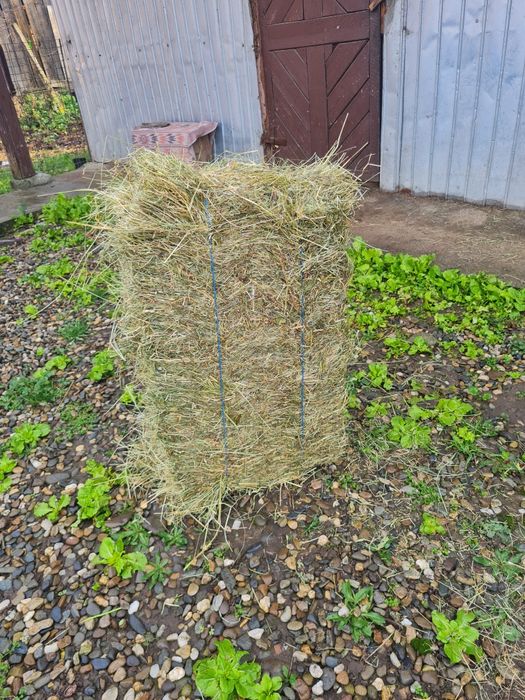 Baloți fân an 2025