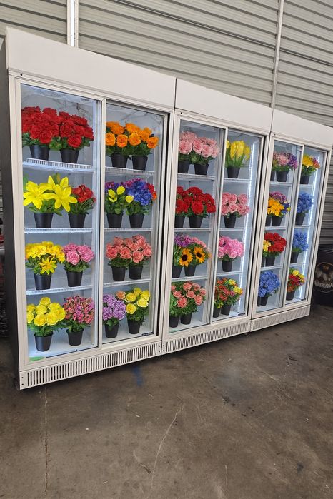 Vitrina frigorifica dubla