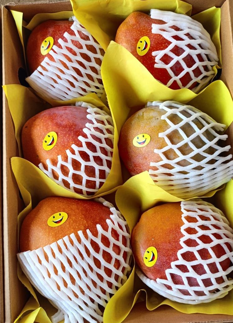 Mango ready to eat