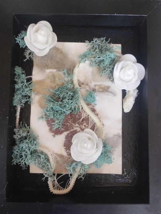 Етично изкуство върху кости