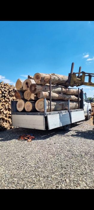 Busteni de fag & stejar și deșeuri lăturoaie de brad & molid