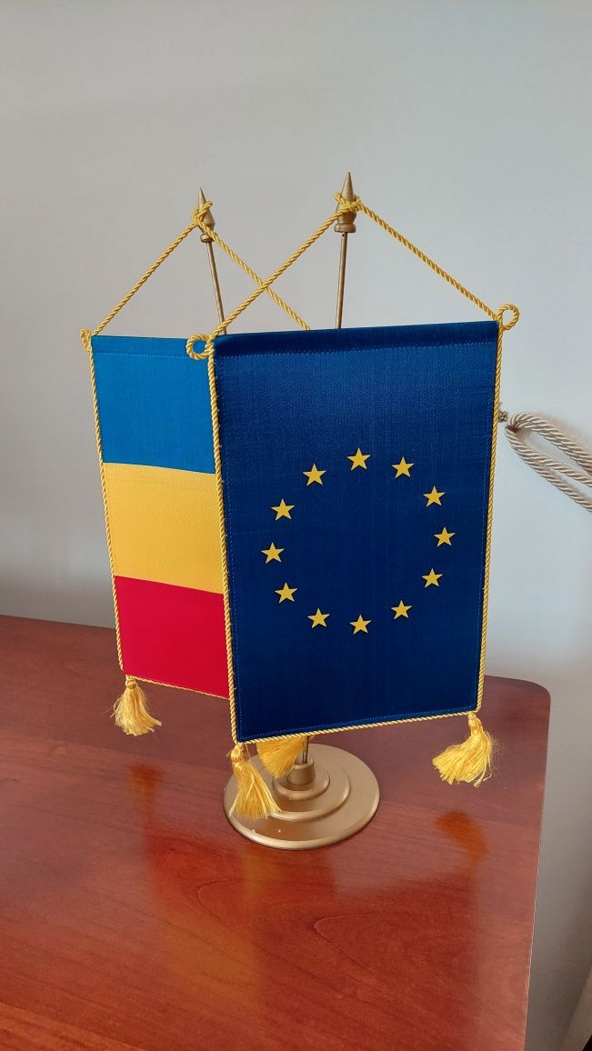 Steag UE + Romania birou design modern