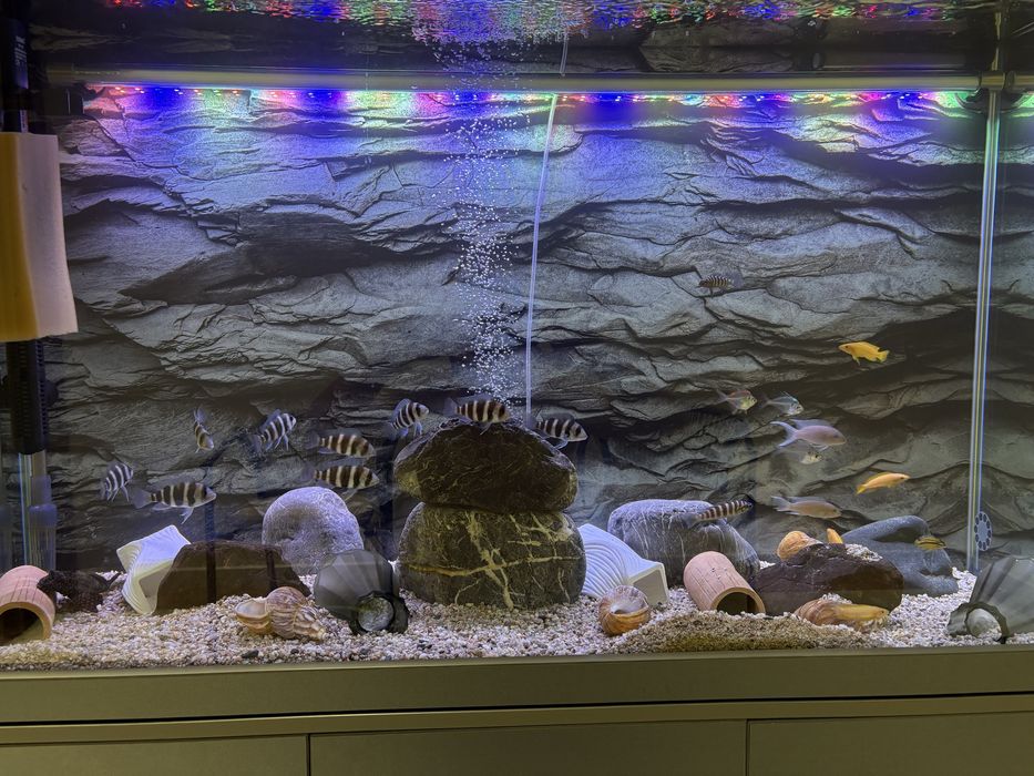 Akvarium 370lt komplekt зур холатда ойнаси 10 лик оптивайт хитой