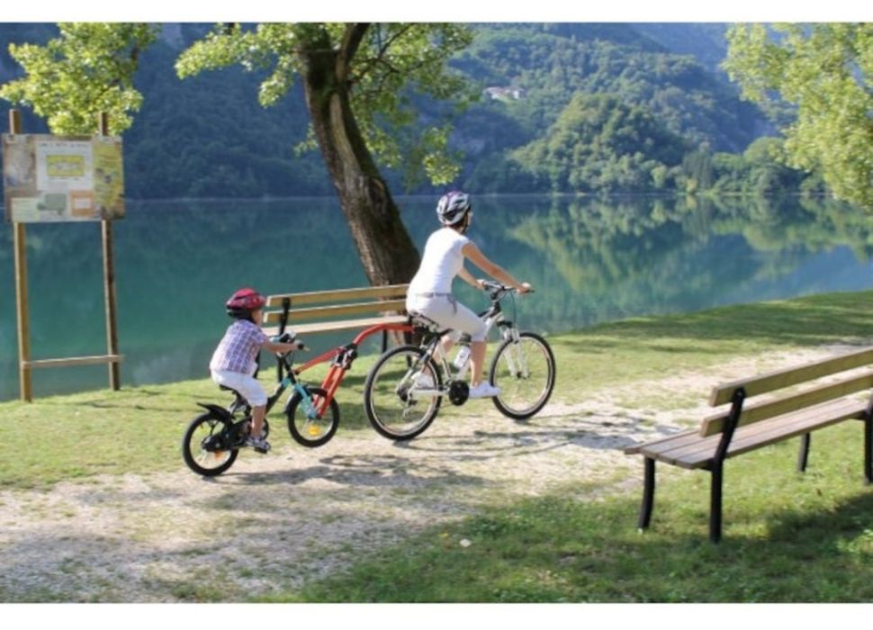 Bara remorcare bicicleta copil Trail Angel nou