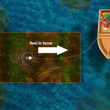 Sonar FishHunter 3D by Lowrance , sonda wireless , ca Nou