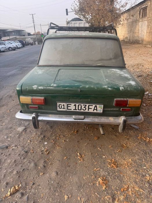 Juguli sotiladi narxi 800