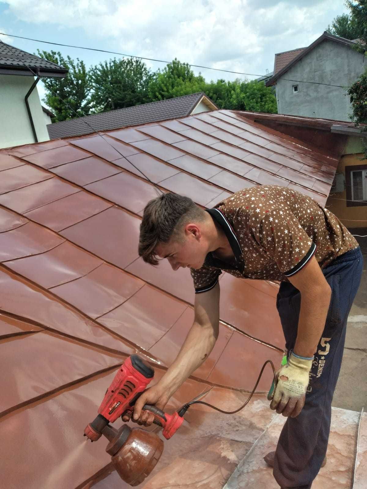 Vopsim orice tip de tabla pe acoperis la casa, garduri, alte suprafete
