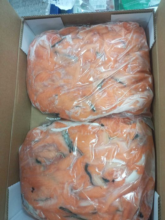 Семга обрезь. Продажа кор.15кг. Доставка бесплатно.