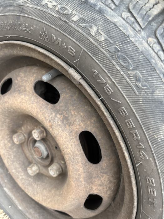 Vand anvelope iarna Renault Clio 2 Symbol 175/65/14