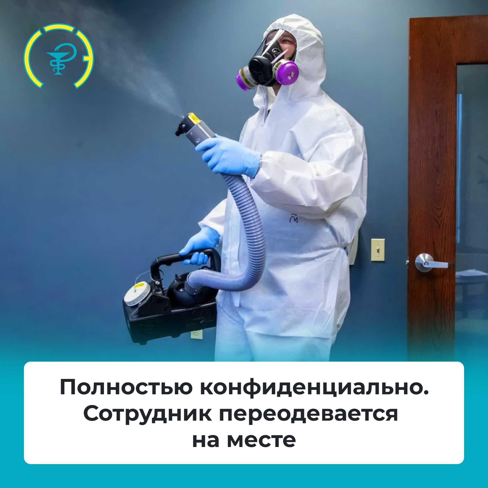 Уничтожение клопов тараканов мышей жучков ос клещей плесени блох