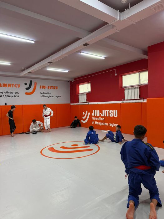 Аренда Спорт зала Кружок Дзюдо, Каратэ, Грэплинг, Фитнес, Йога