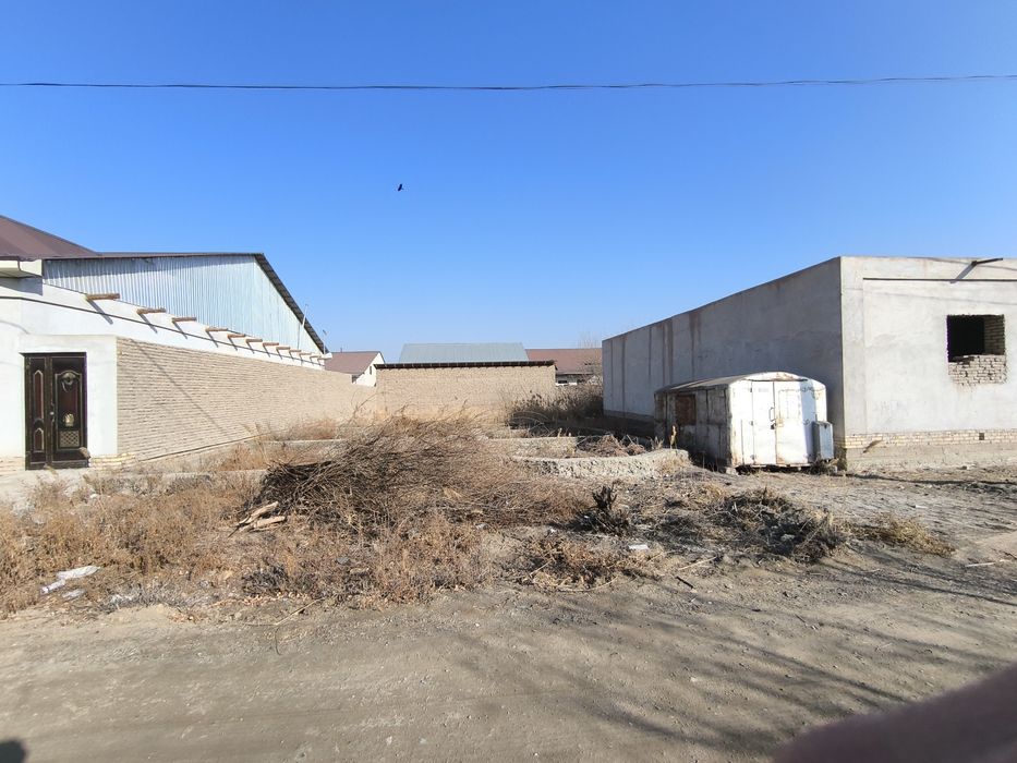 Urganch tuman Ferma koʻcha