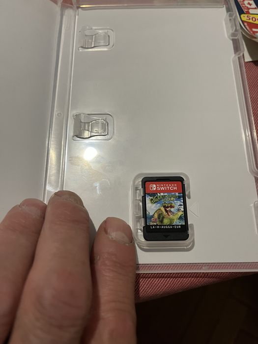 Игра за nintendo switch