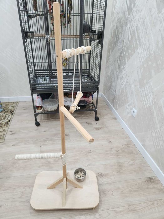 стент для попугаев