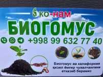Biogomus tabiy organik