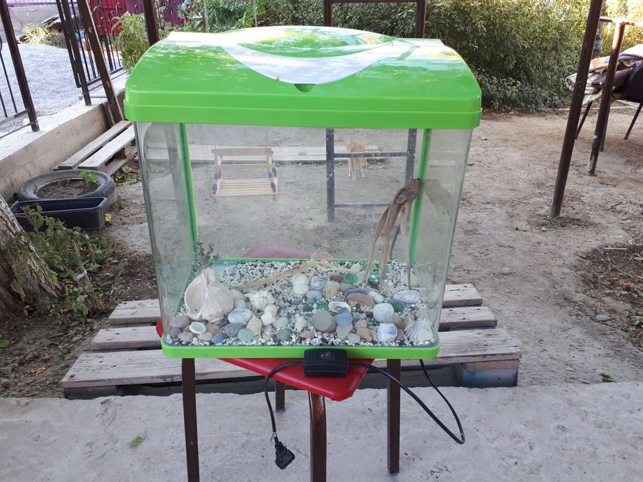 Продам Аквариум зеленого цвета б/у.пользовались недолго.